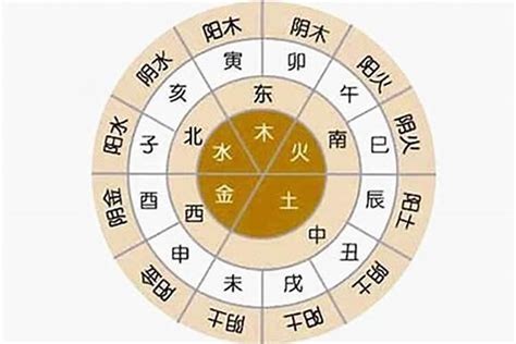 怎樣計算五行|八字五行查詢